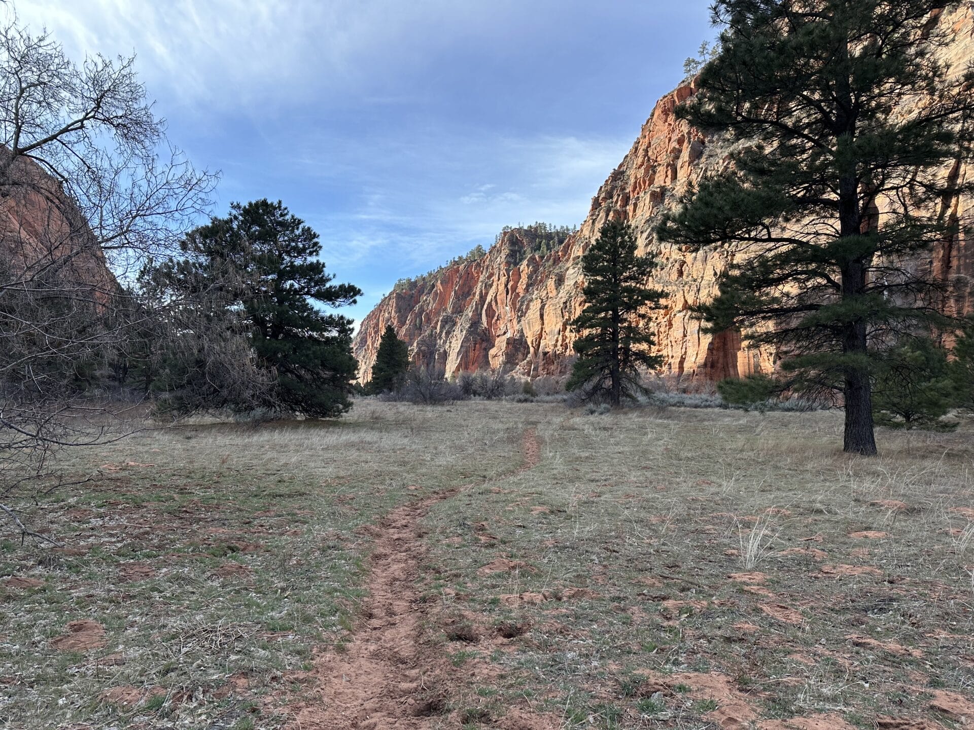 Trail through an open meadow with canyon walls along the Zion Traverse.
