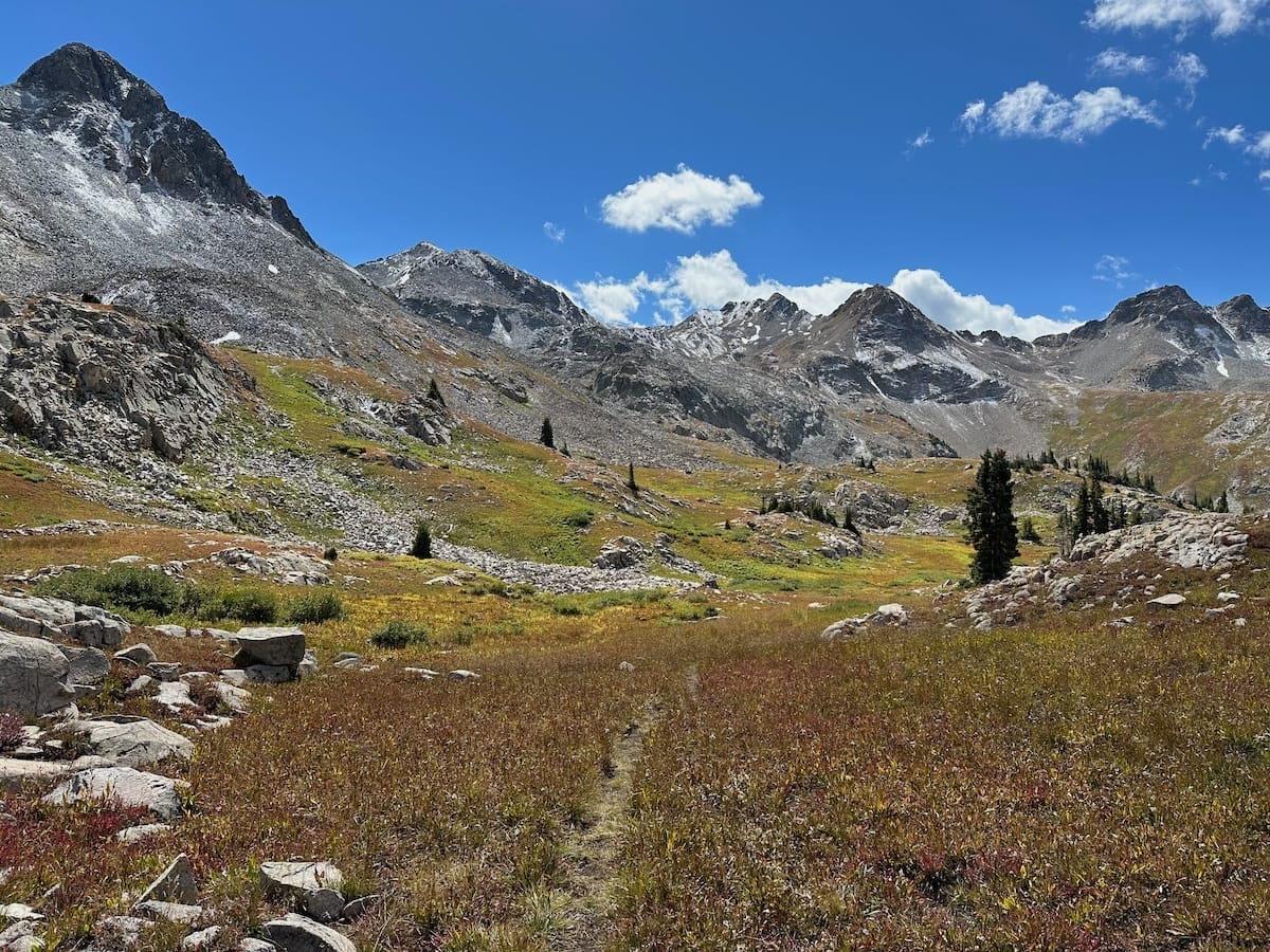 Alpine meadow with mountain peaks along the Capitol Peak Trail.