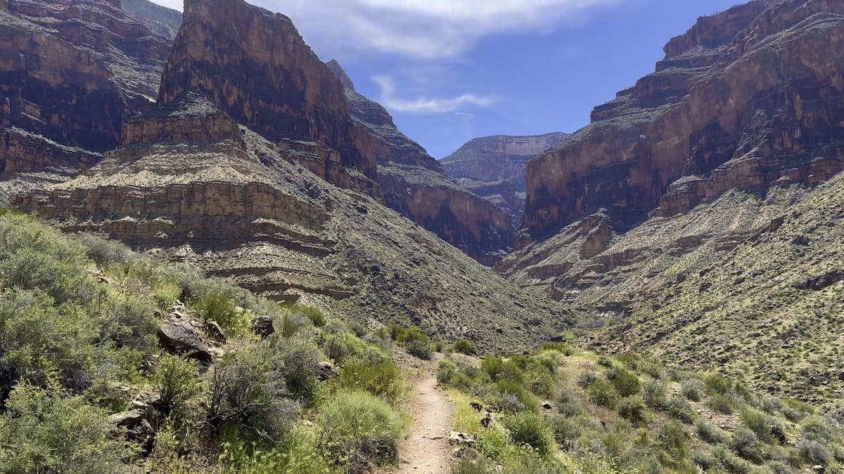 Tonto Trail in Grand Canyon National Park, with a path winding through desert vegetation and rocky terrain.