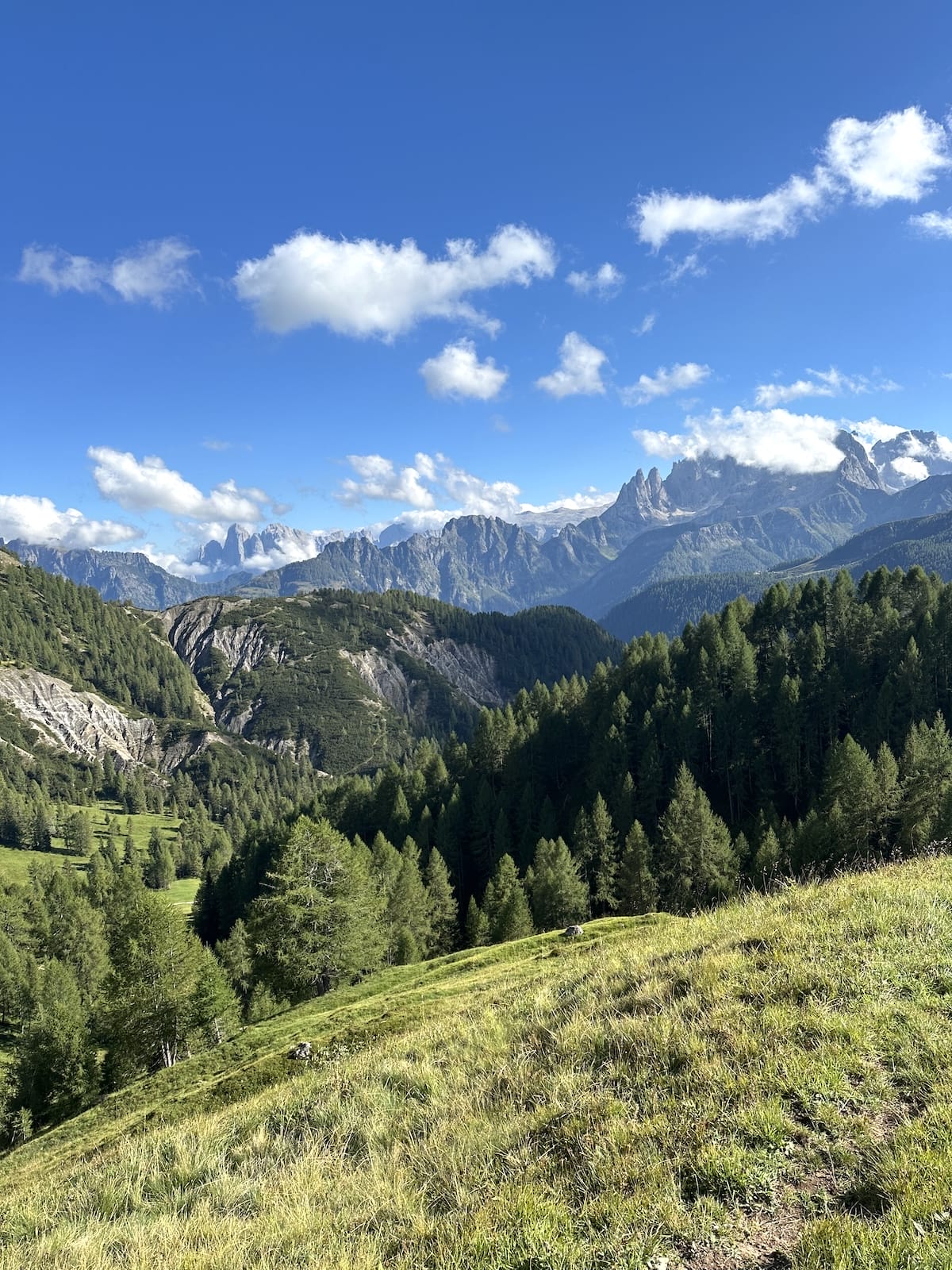 Dolomites mountain range view with forests along the Alta Via 2.