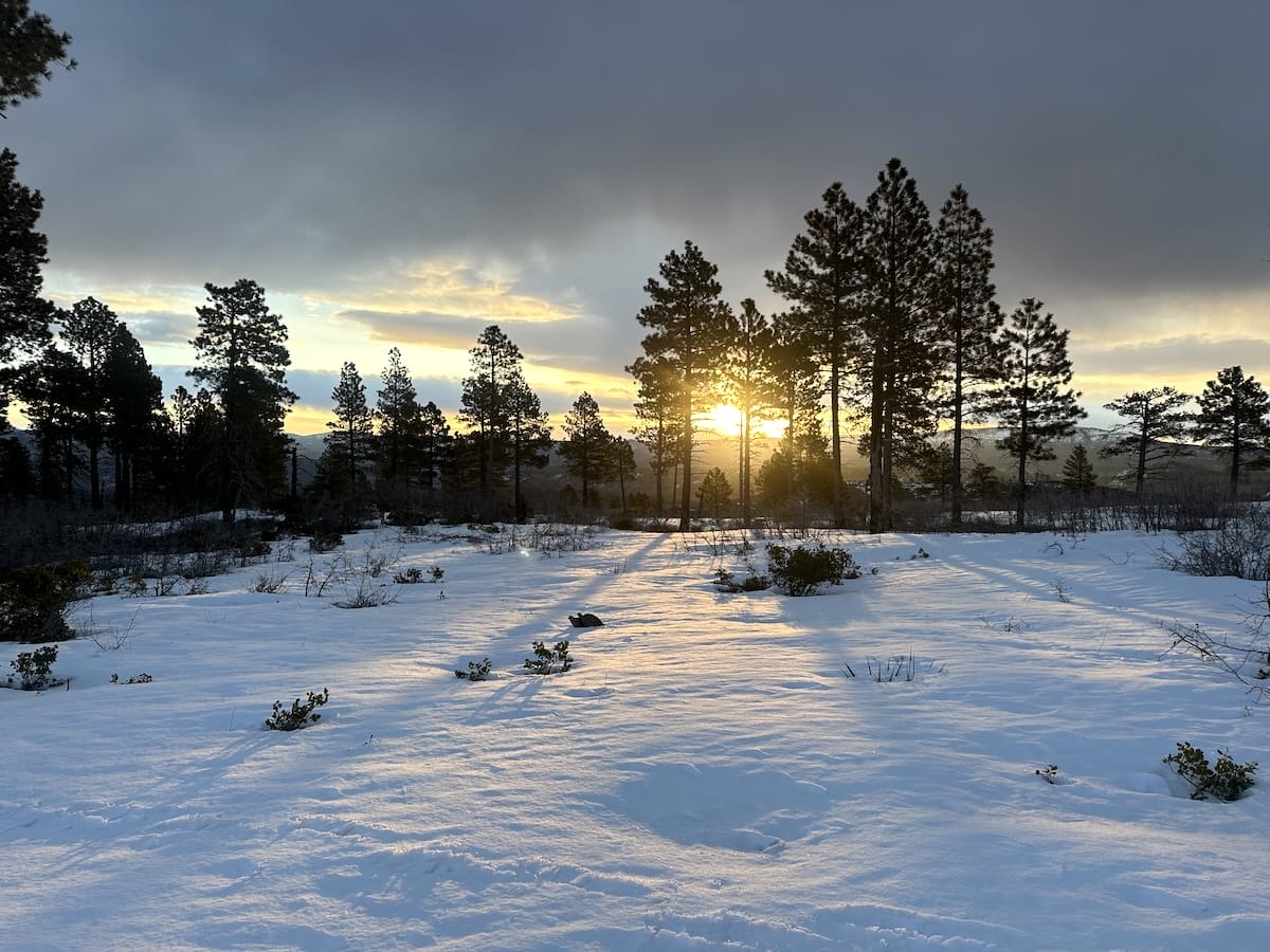 Snowy landscape with pine trees and a dramatic sunrise on the west rim of Zion National Park.