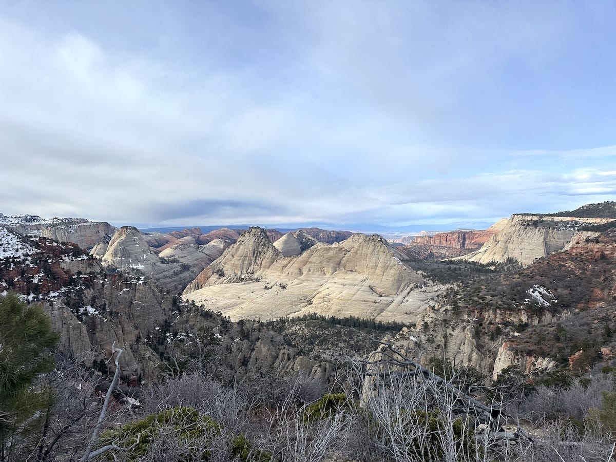 Panoramic view of Zion Canyon in Zion National Park with layered rock formations and desert vegetation.