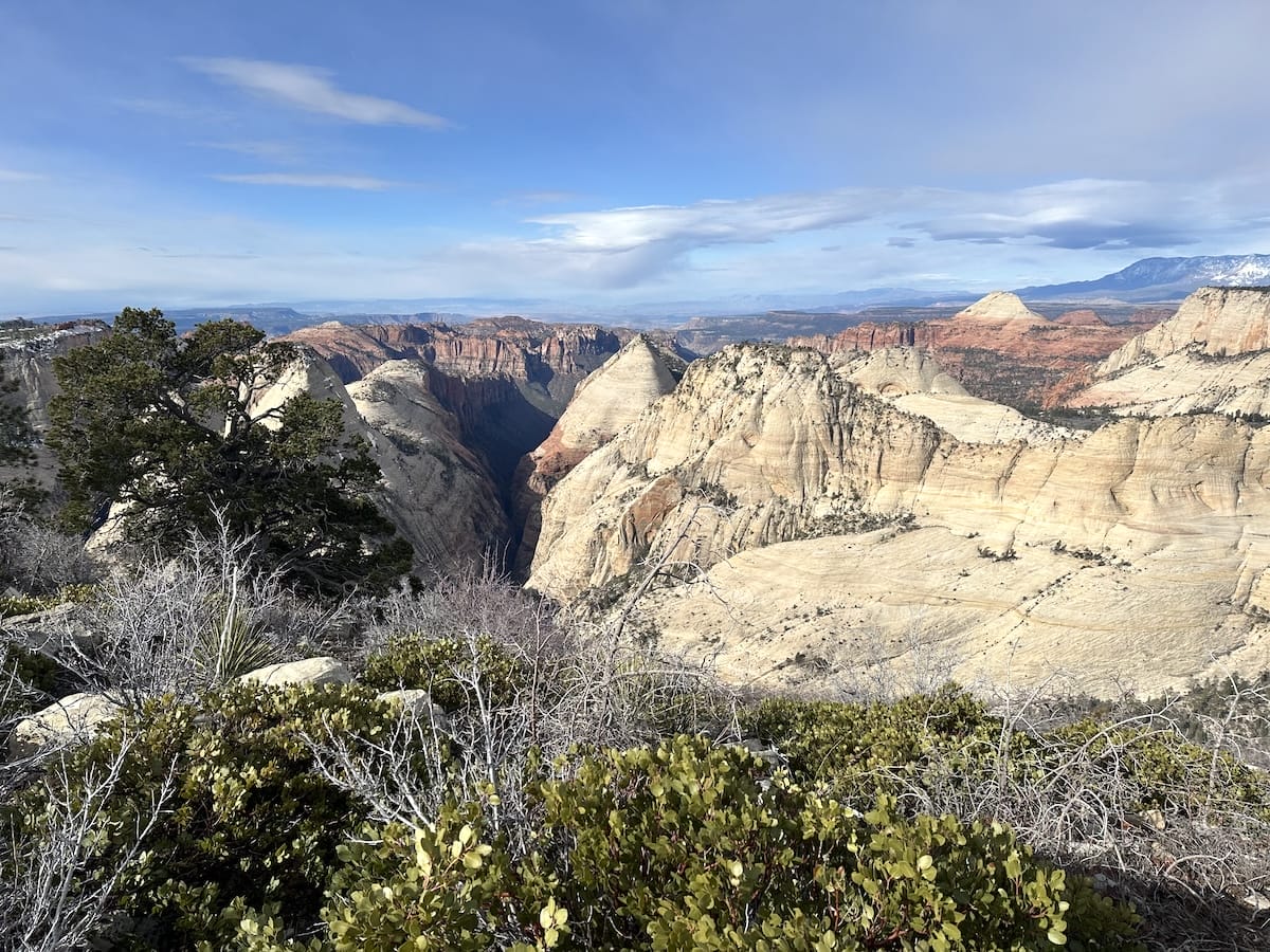 Panoramic view of the Zion Canyon from an overlook on the Zion Traverse with layered rock formations and desert vegetation.