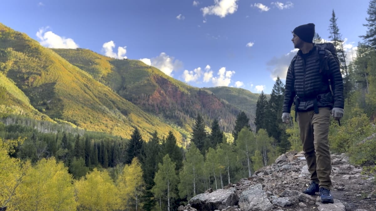Hiker on trail admiring colorful autumn seen of aspen grove in Colorado.