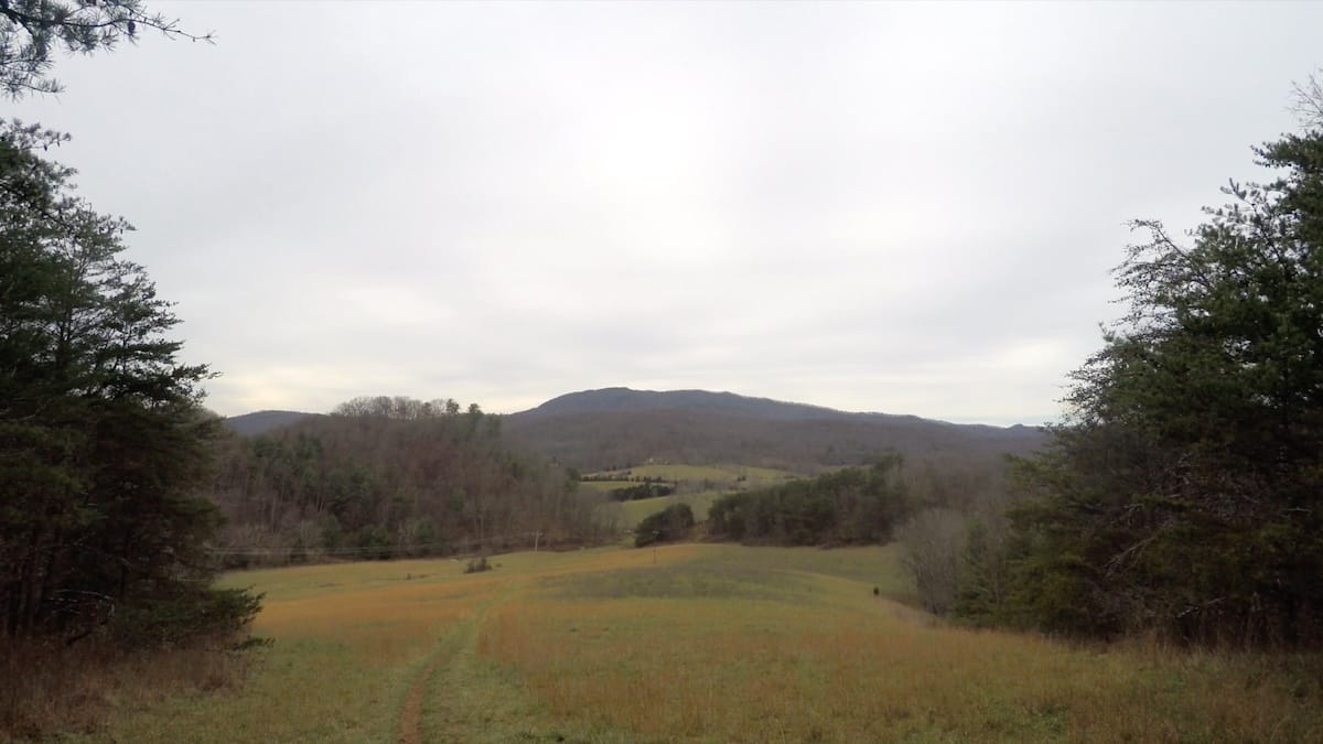 Open meadow on the Virginia Triple Crown hike with forested ridges in the distance.
